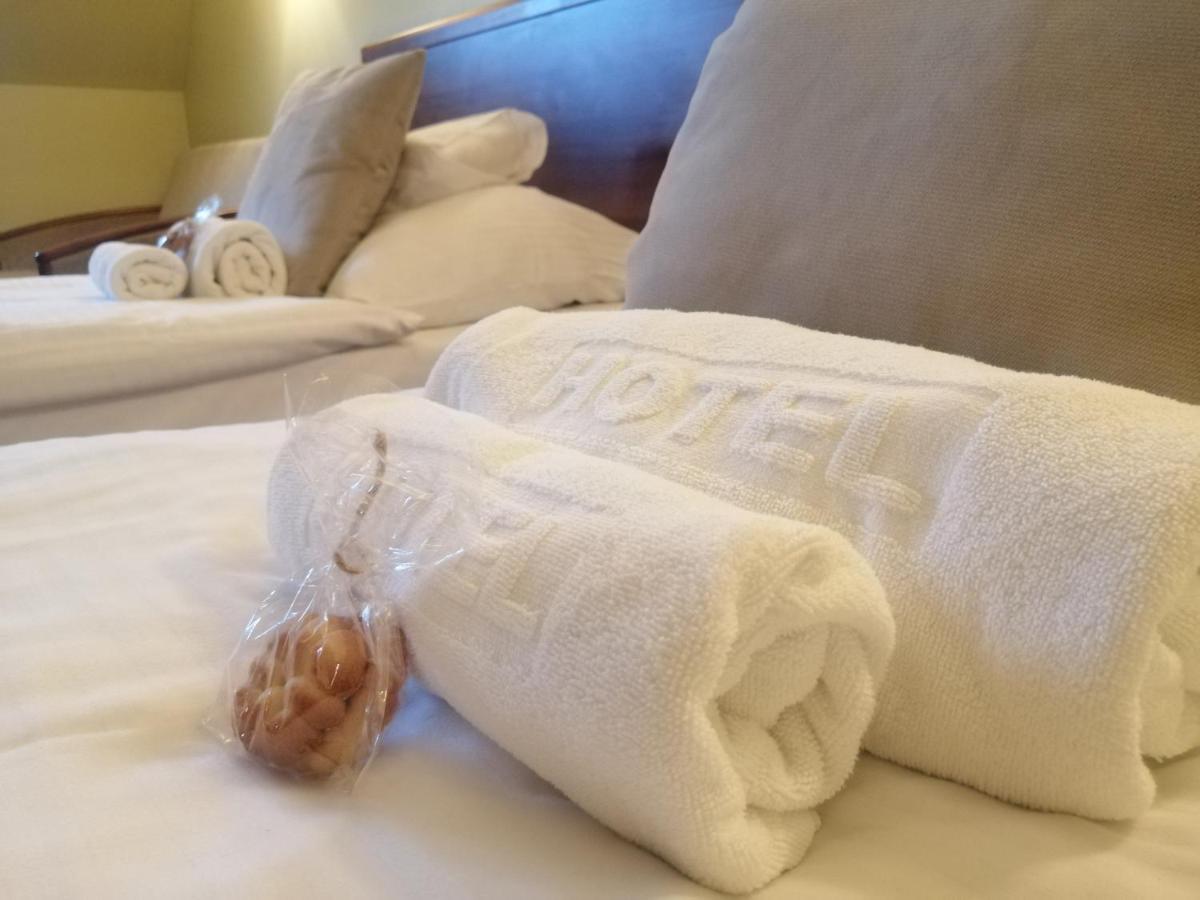Hotel Rycerski Челядзь Экстерьер фото